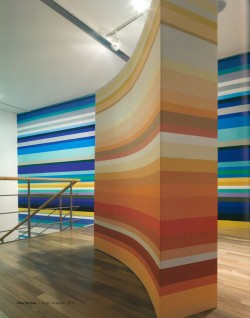 고낙범 Color Pause